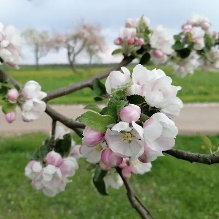 Old Parish Barn Casa vacanze