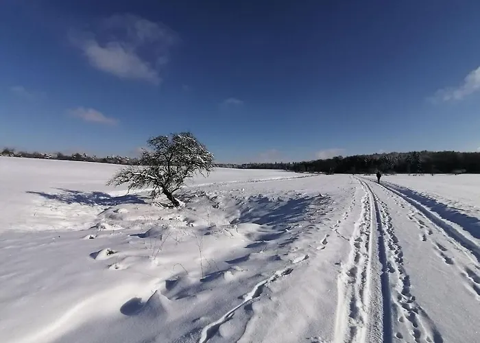 Old Parish Barn Casa vacanze *