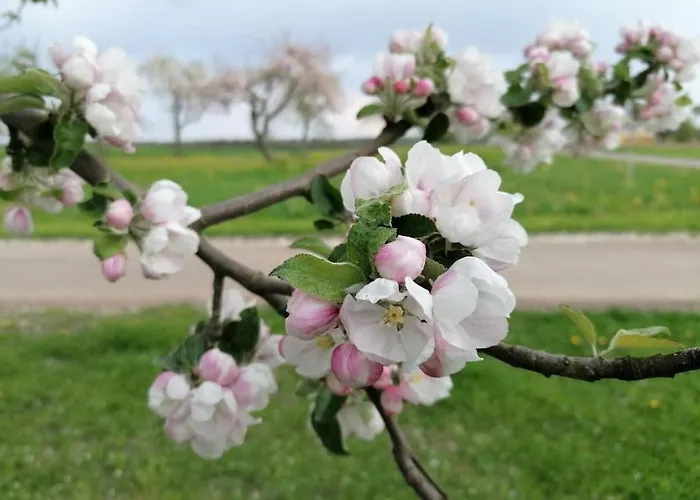 Old Parish Barn بيت للعطل