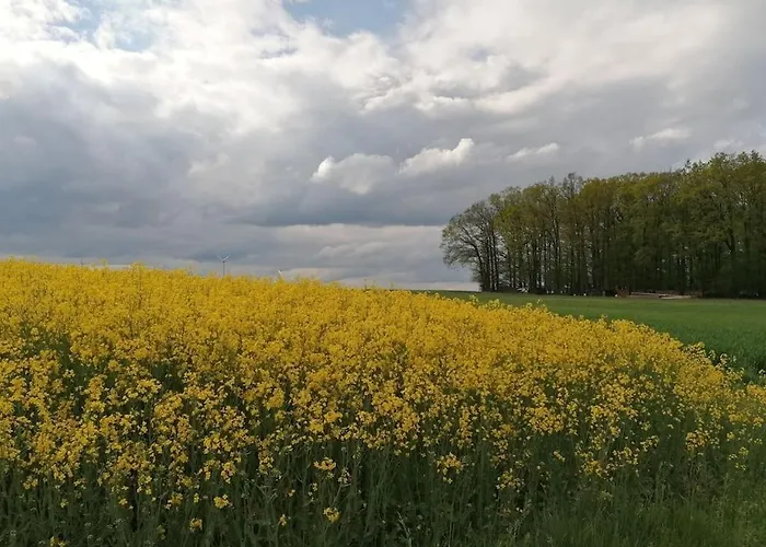 Old Parish Barn Creglingen