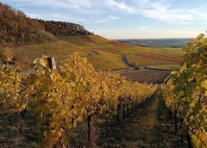 بيت للعطل Old Parish Barn *