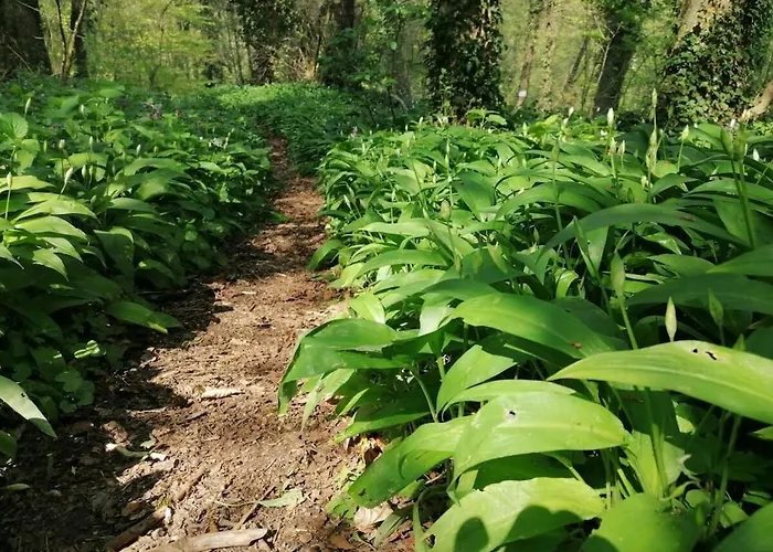 Old Parish Barn Casa vacanze *